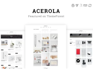 acerola-ultra-minimalist-agency-wordpress-theme