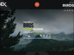 birds-responsive-coming-soon-page-2