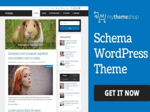 mythemeshop-daily-wordpress-theme